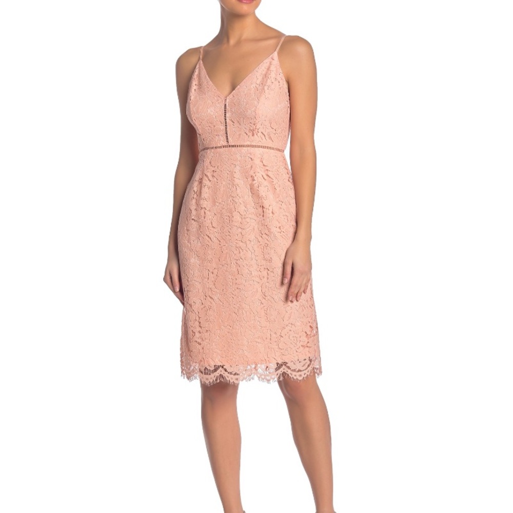 Atsr The Label Blush Lace Dress